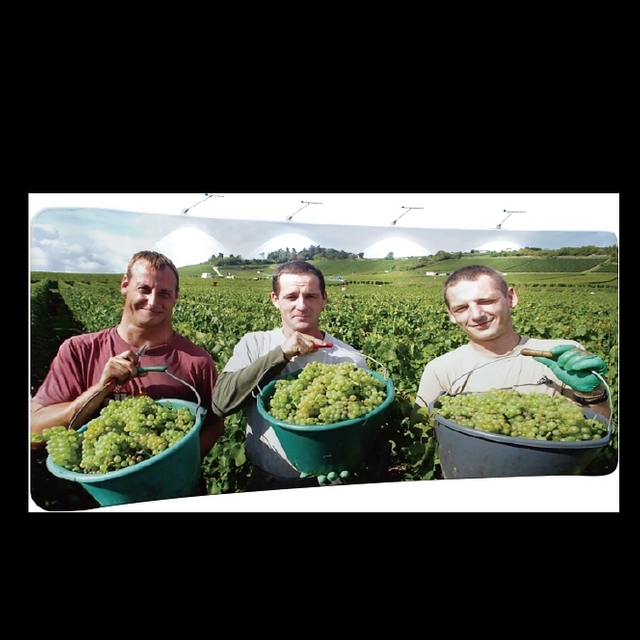 20FT TUBE Curved-Shaped Fabric Display Wall