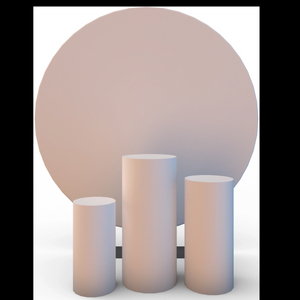 WEDDING PHOTOGRAPHY BACKDROP