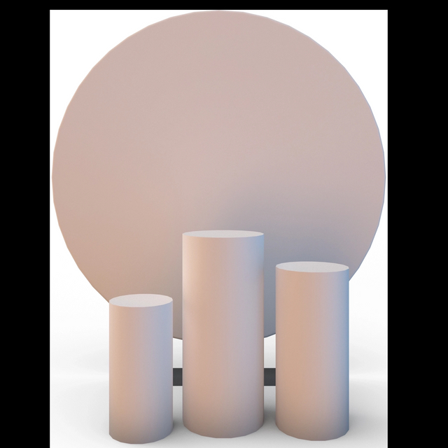 WEDDING PHOTOGRAPHY BACKDROP