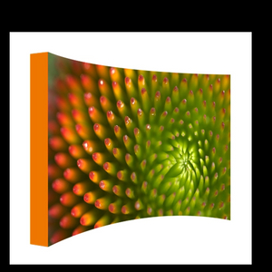 8ft Curved Pop Up Displays EM-09A1