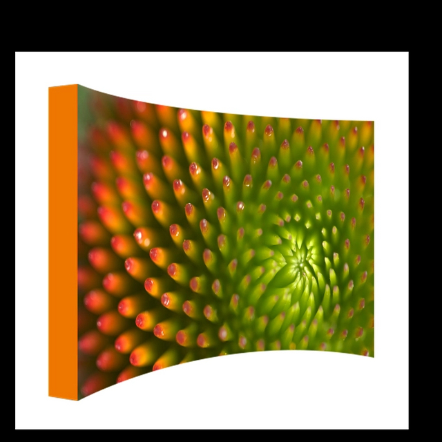8ft Curved Pop Up Displays EM-09A1